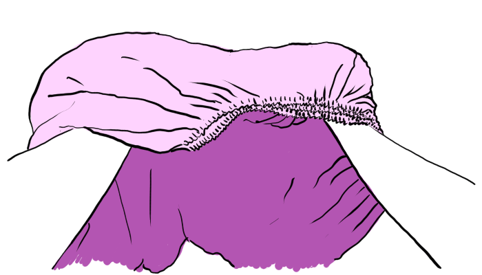 Drawing as described in the text.