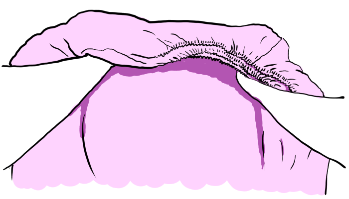 Two arms have laid the quarter sheet flat and are still inside the elastic.