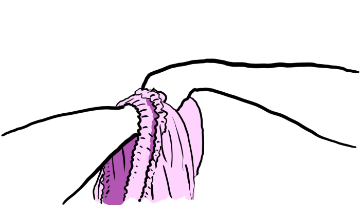 First-person view of two arms one sheet. The right arm is spreading its corner over the one on the left arm. The elastic edges overlap.