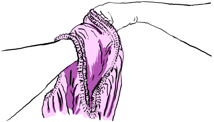 The right hand wraps the right corner over the left.