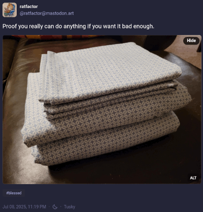 A second Mastodon toot with a picture of my folded sheet set.