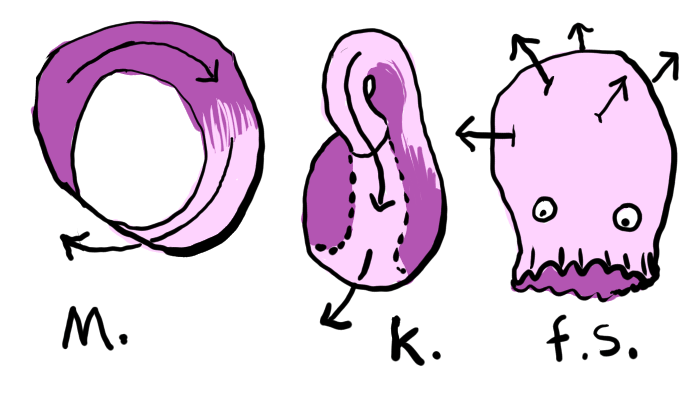 sheet topology