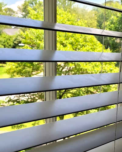 A photo of the tree outside my window seen through the blinds.