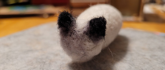 nfkitty10