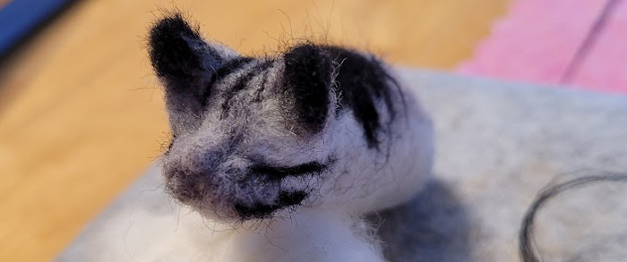 nfkitty12