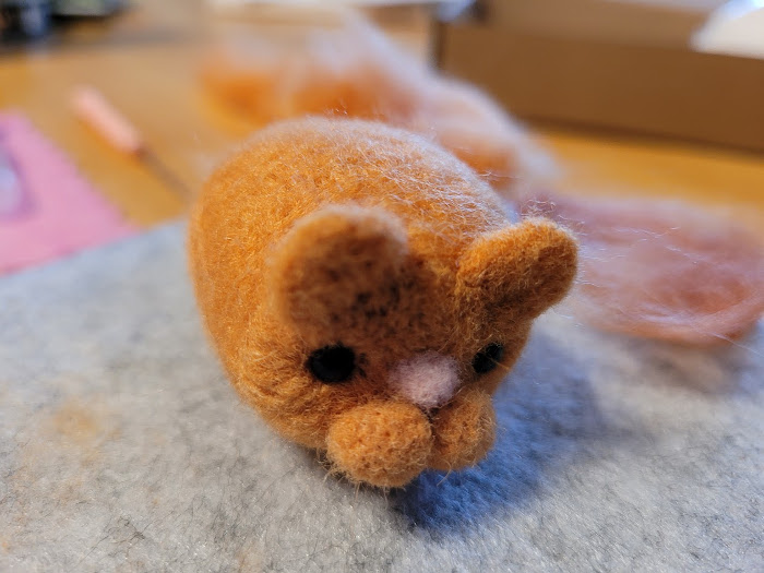 nfkitty4