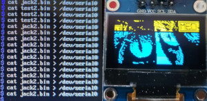 cli screen shot sending image multiple times and the badly shifted cat image