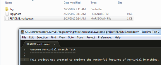 New repository