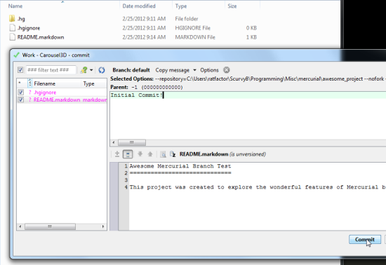 write message and commit