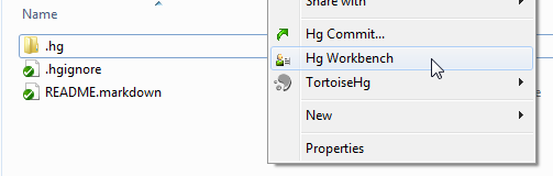 Opening hg workbench