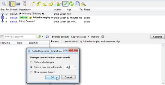 the new named branch option and the commit screen