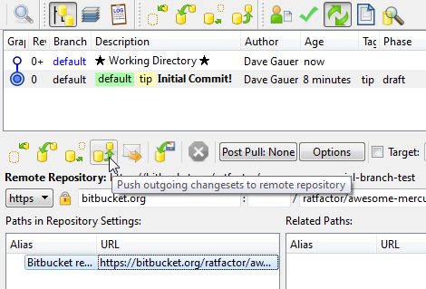 push to bitbucket